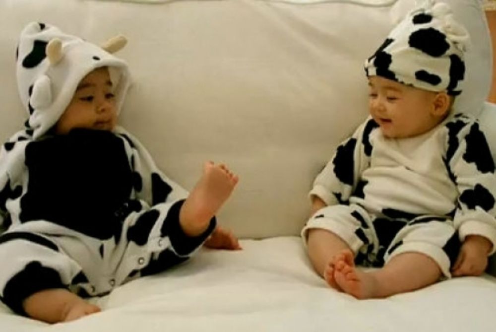 Είμαστε δύο μικρές αγελαδίτσες! 