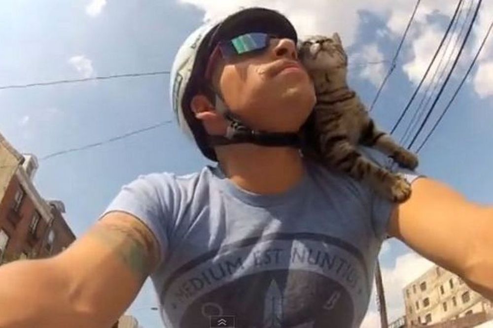 Δείτε τη γάτα που λατρεύει την ποδηλασία... (video)