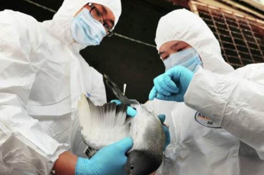 Κίνα: 20 οι νεκροί από τον ιό H7N9