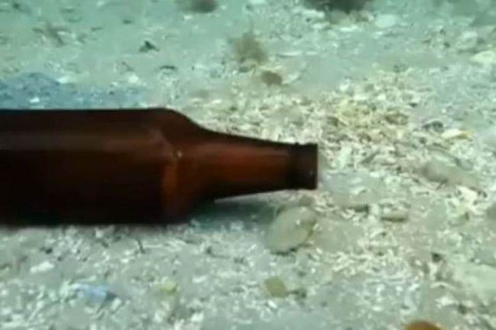 Τι ζει μέσα στο μπουκάλι μπίρας;