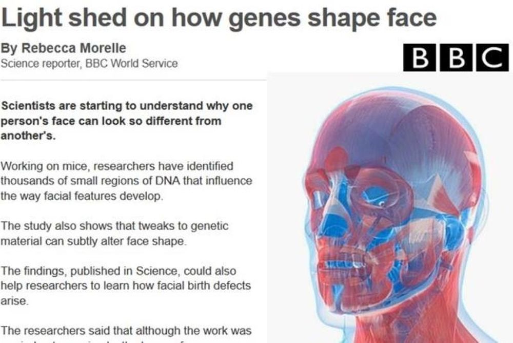 Ανακάλυψαν τα γονίδια που διαμορφώνουν το πρόσωπο
