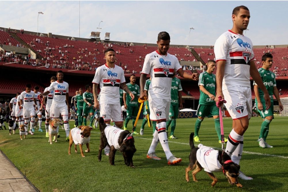 Με σκυλιά αντί για παιδιά η Σάο Πάολο! (photos+video)