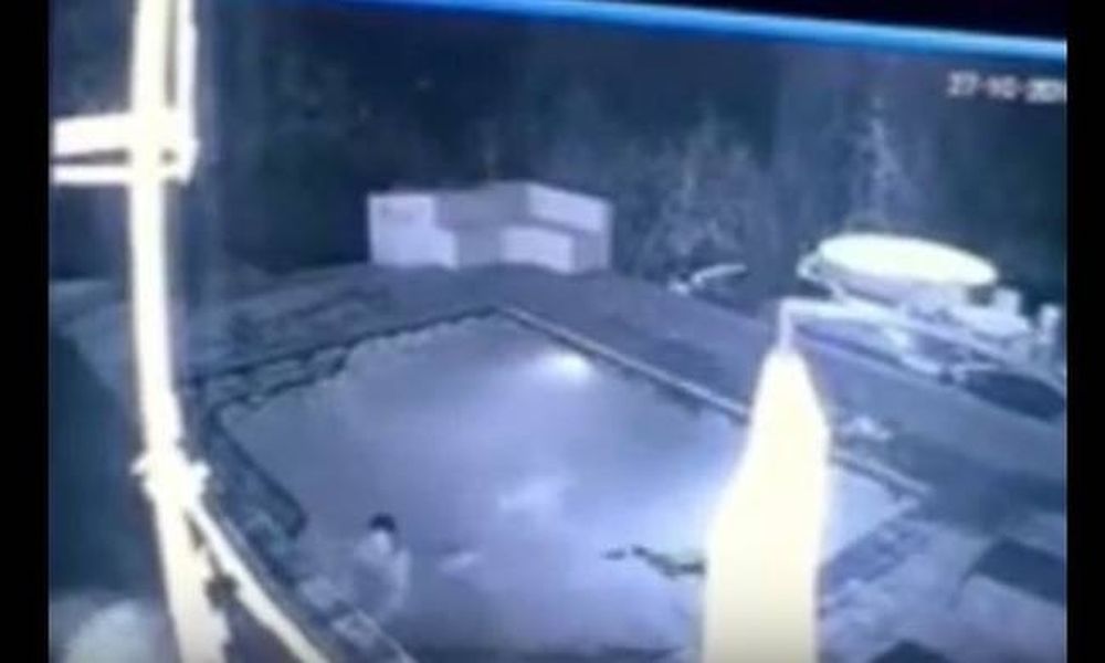 Τρόμος: Κροκόδειλος επιτέθηκε σε ζευγάρι μέσα σε πισίνα ξενοδοχείου! (video)