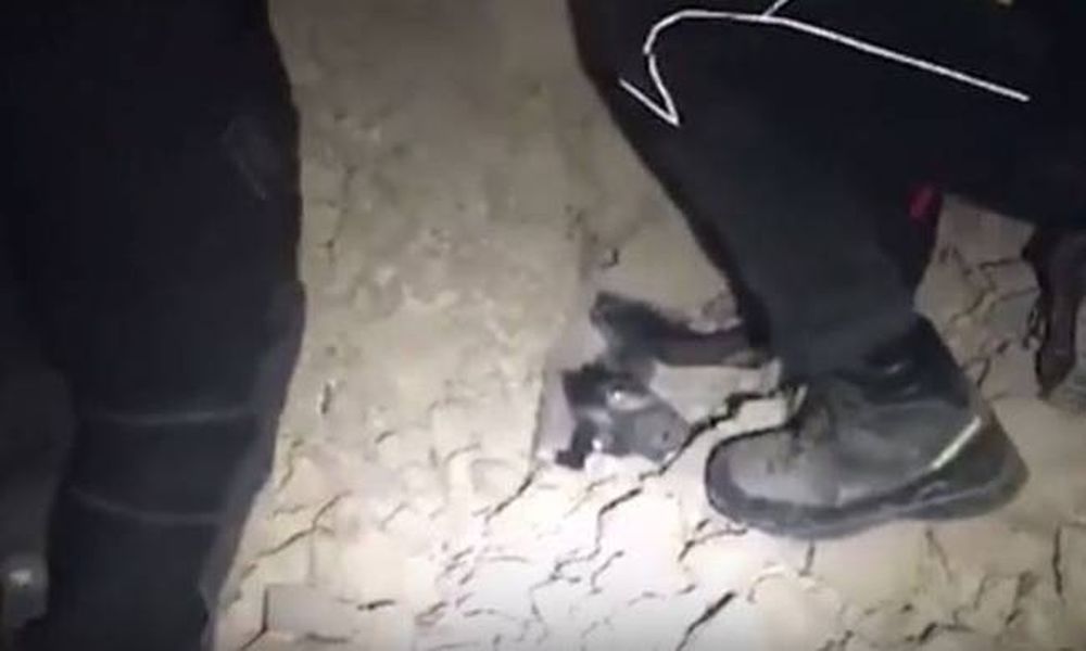 Ιταλία: Οι πυροσβέστες έβγαλαν ζωντανό έναν σκύλο από τα χαλάσματα (vide