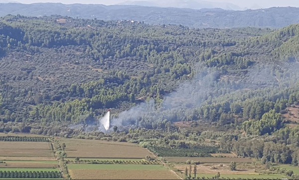 Φωτιά Ηλεία: Επιτυχής επιχείρηση κατάσβεσης στις όχθες του Αλφειού (video+photos)