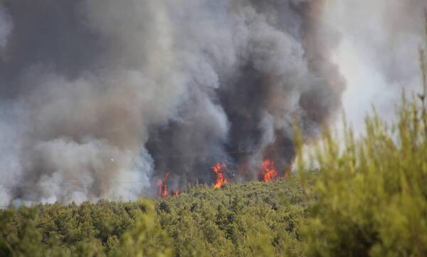 Φωτιά στην Βαρυμπόμπη: Εκκενώνεται ο οικισμός Αδάμες - Πέρασε στη Βαρυμπόμπη η πυρκαγιά