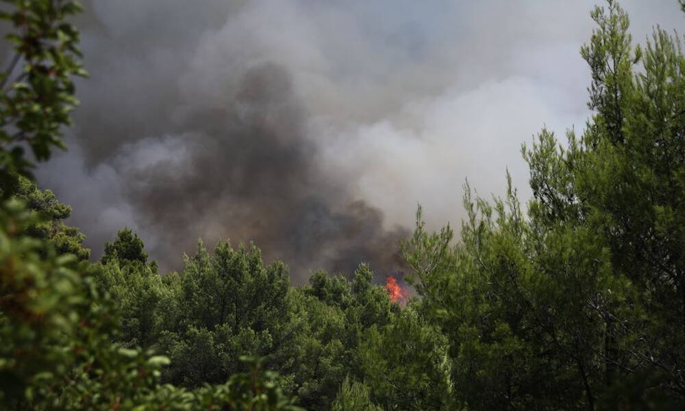 Φωτιά ΤΩΡΑ: Εκκενώνονται Κρυονέρι, Αφίδνες και Κοκκινόβραχος - Τετάστιο το μέτωπο της πυρκαγιάς - Onsports.gr