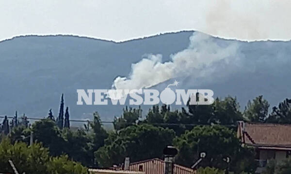 Φωτιά ΤΩΡΑ: Νέα πυρκαγιά στην Πάρνηθα - Συναγερμός στην Πυροσβεστική