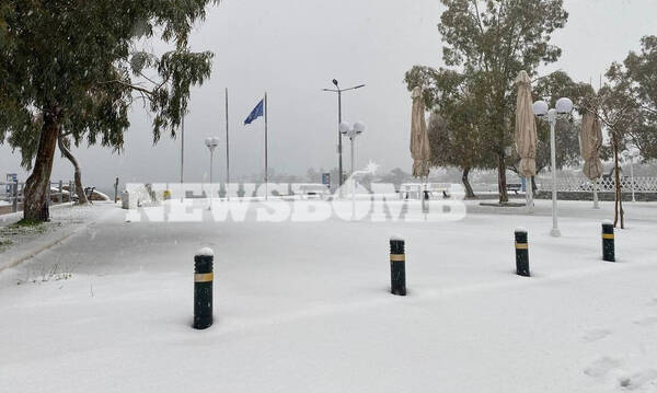 Κακοκαιρία «Ελπίδα»: Έγινε το αυτονόητο - Αργία την Τετάρτη (26/01) και σε Εύβοια και Βοιωτία