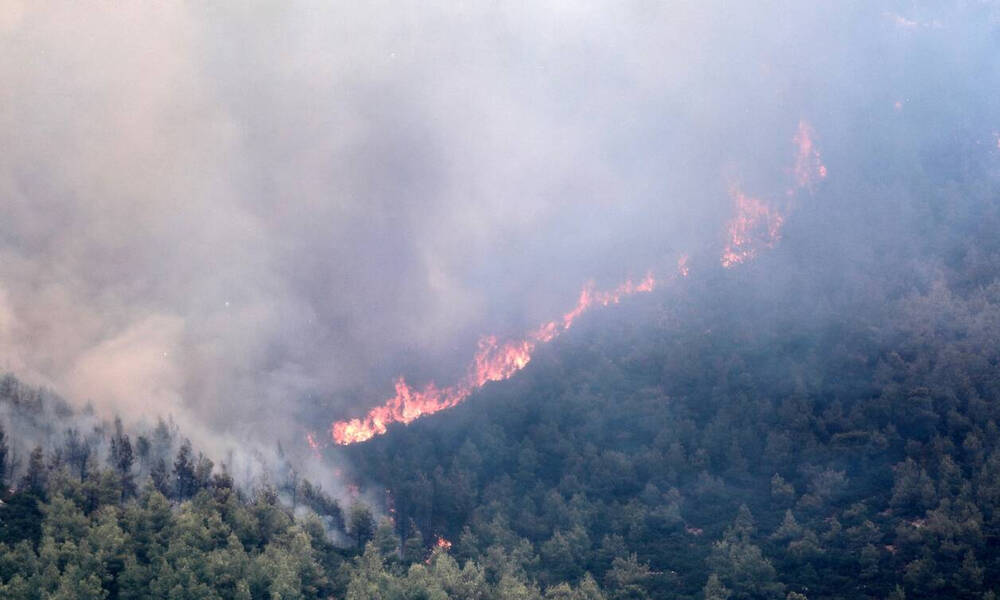 Φωτιά στην Ηλεία: Δύσκολο το μέτωπο στο Λιβαδάκι - Ενισχύονται οι δυνάμεις της Πυροσβεστικής