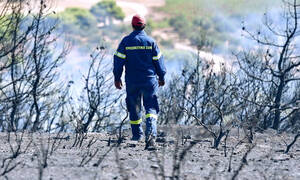 Φωτιά: Μάχη με τις φλόγες σε Παιανία, Κάρυστο, Ηλεία – Ισχυροί άνεμοι σε όλη την Ελλάδα